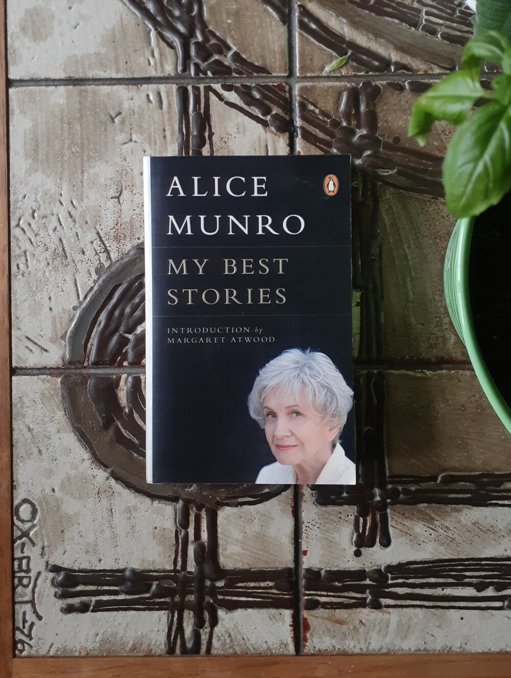 Alice Munro - Short Stories Paperback